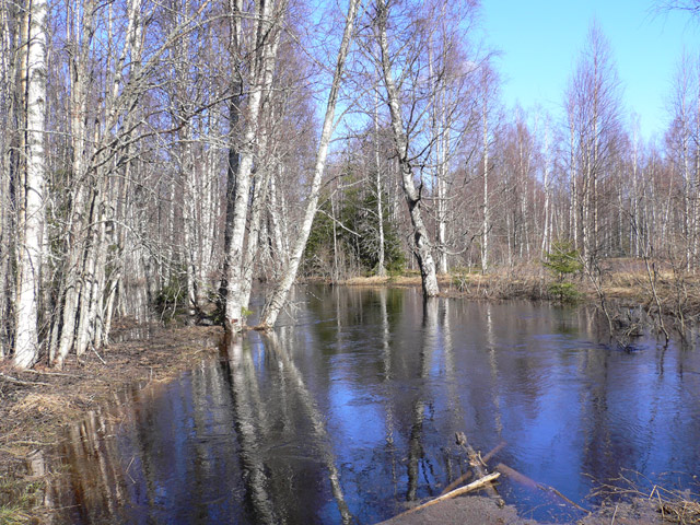 Весенняя река