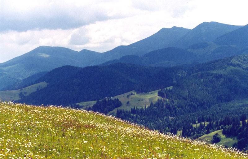 Карпаты1