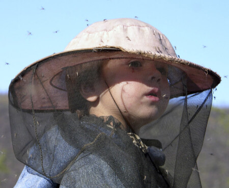 дама в вуали