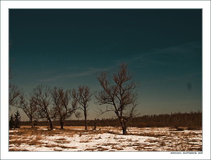 В деревне Гадюкино весна. #003. (Кадр №6083)