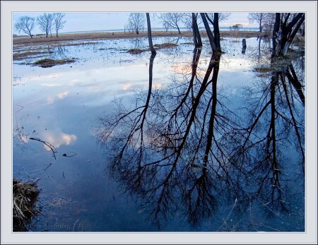...весеняя вода...