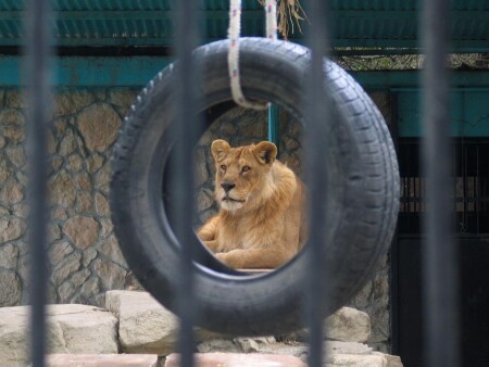 Черные дни Metro-Goldwyn-Mayer