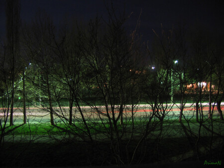 Линии жизни