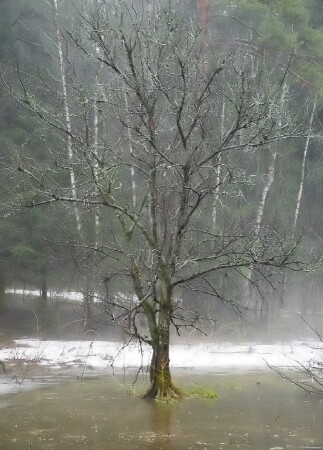 Пробуждение