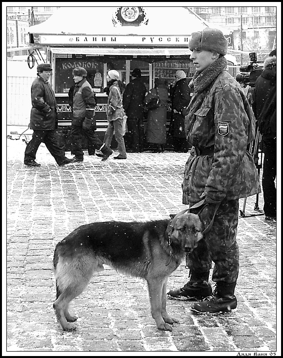 Служба собачья