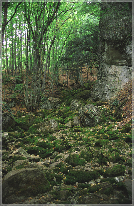 Каменная река.