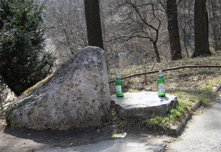 Пикник на обочине