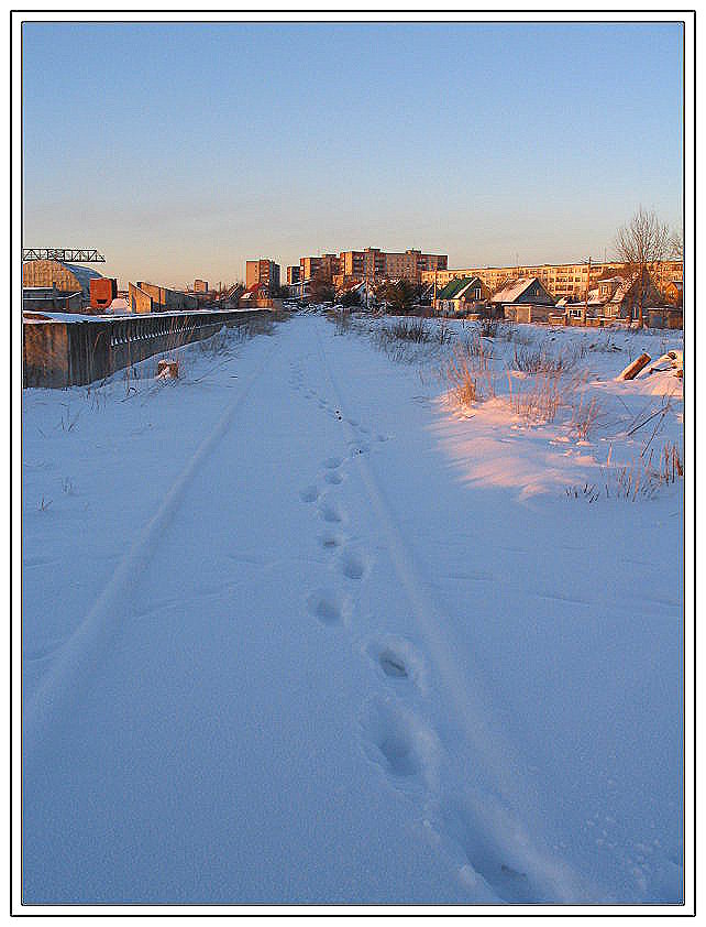 Нетрезв