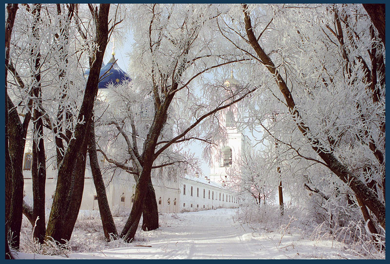 Последняя (зимняя) фотография