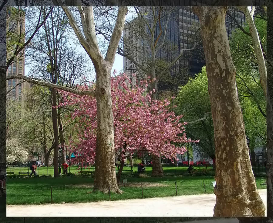 Spring time in the Manhattan