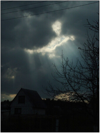 Ко мне, Мухтар!