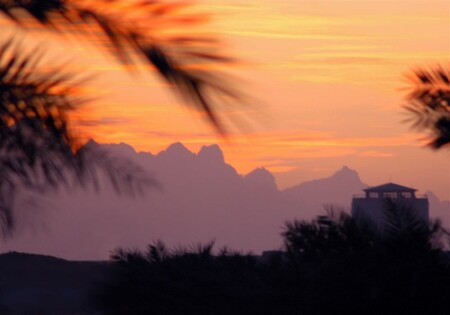 Страна лиловых гор