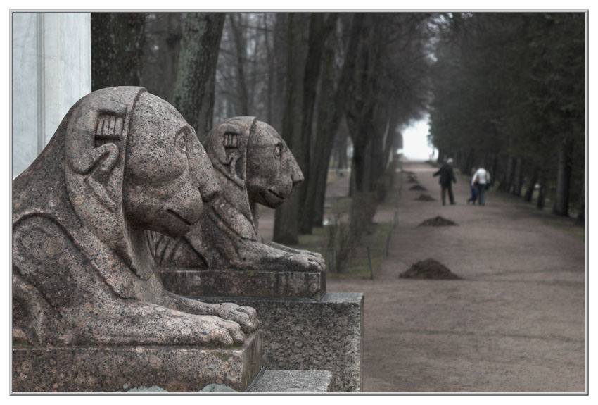 Открыточка из Петергофа