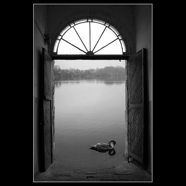 On the edge of reality and dream 