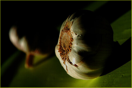 aglio