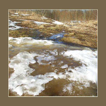 Первый ручей