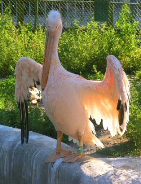 Во мне тоже есть солнце!