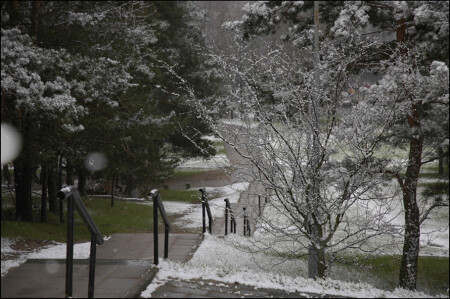 агония зимы