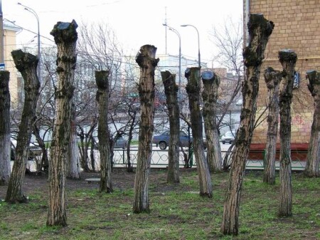 "Весенний призыв"