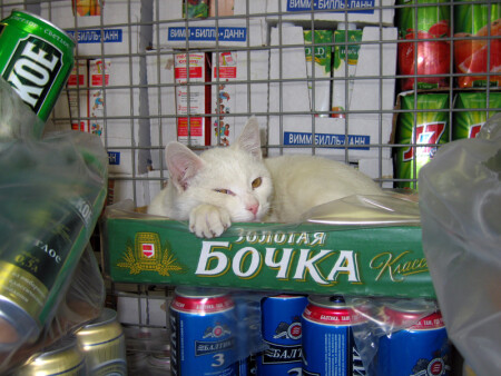 Ну, или так.