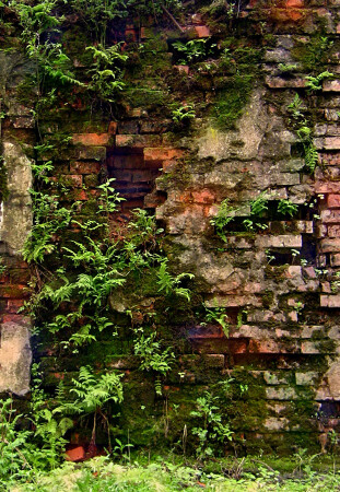 The Wall 2