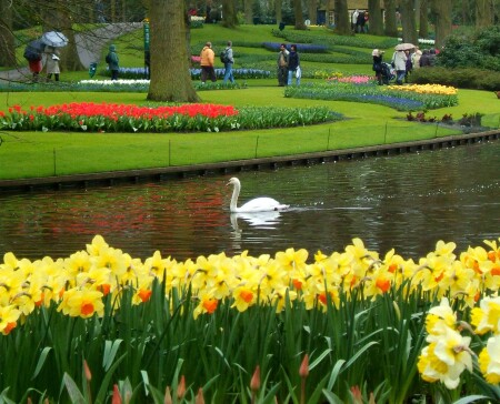 Keukenhof #2