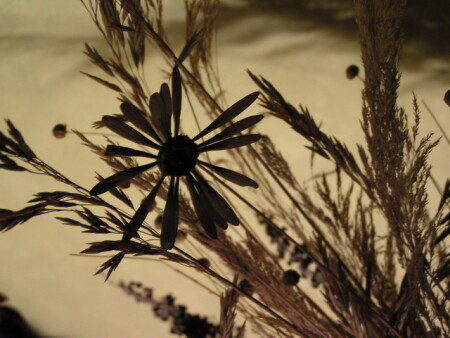 Дети рисуют солнце