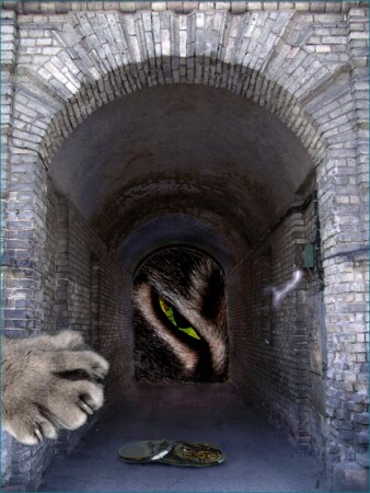Кошачьи забавы.