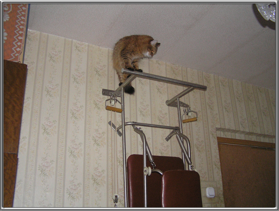 Спортсменка