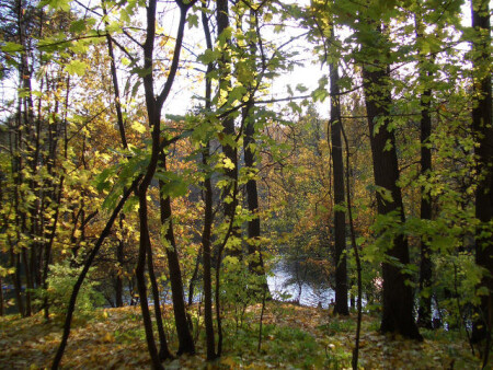 Осенняя элегия