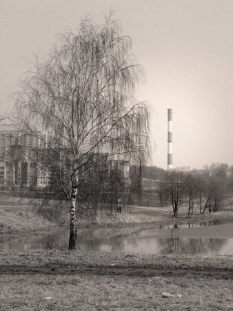 Без листвы...