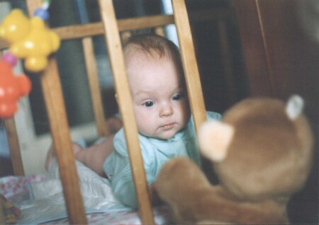 Новая игрушка