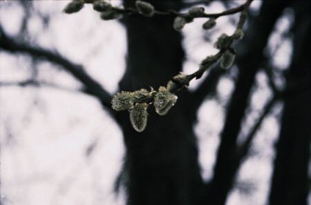 пробуждение