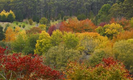 осенняя палитра