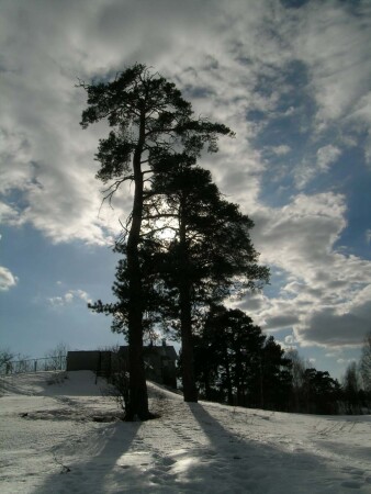 ранний апрель