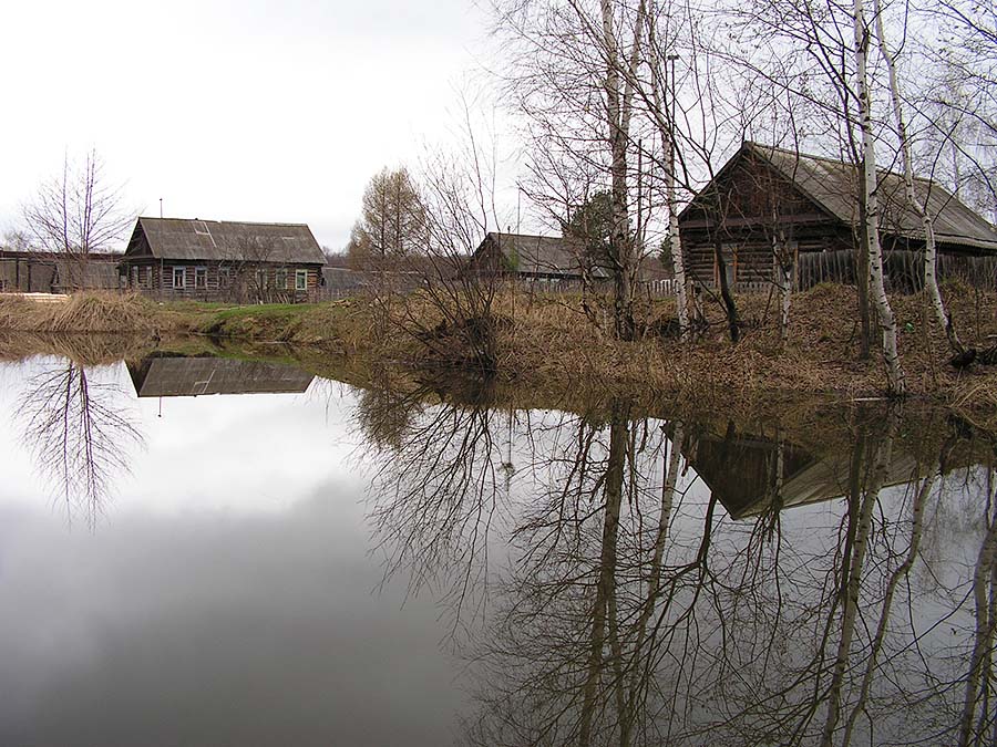 Лесничество