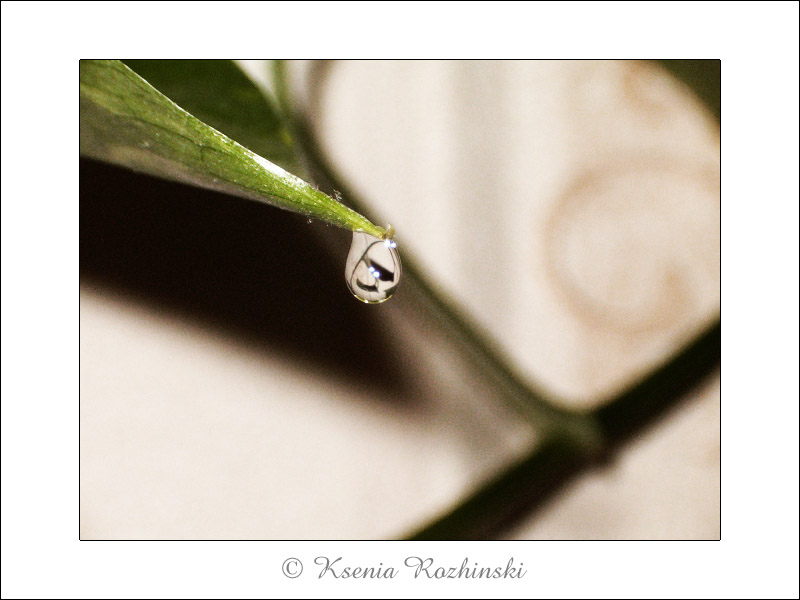 Drop