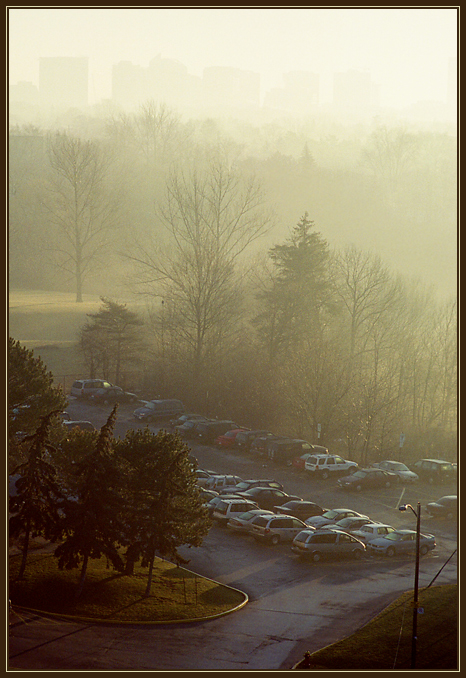 North York (7) 2003