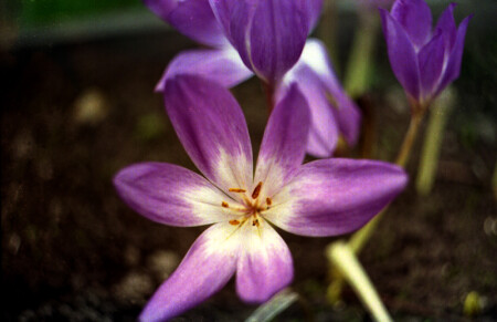 Пролетая мимо...