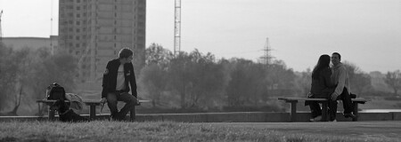 одиночество с четвероногим другом