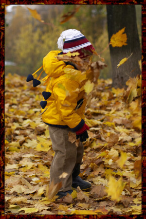 Навстречу ветру