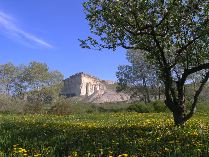 Белая скала в мае (Крым)