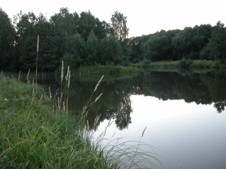 Вечерний пейзаж