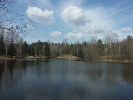 штрихи природы