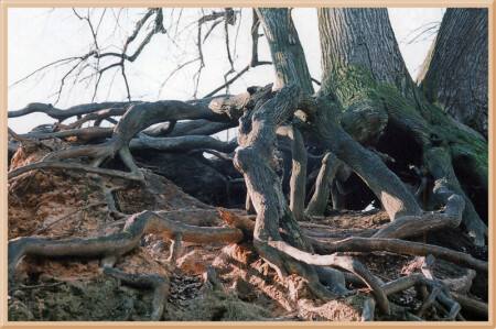 Живая скульптурная композиция