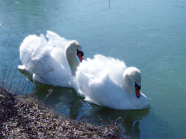 together*