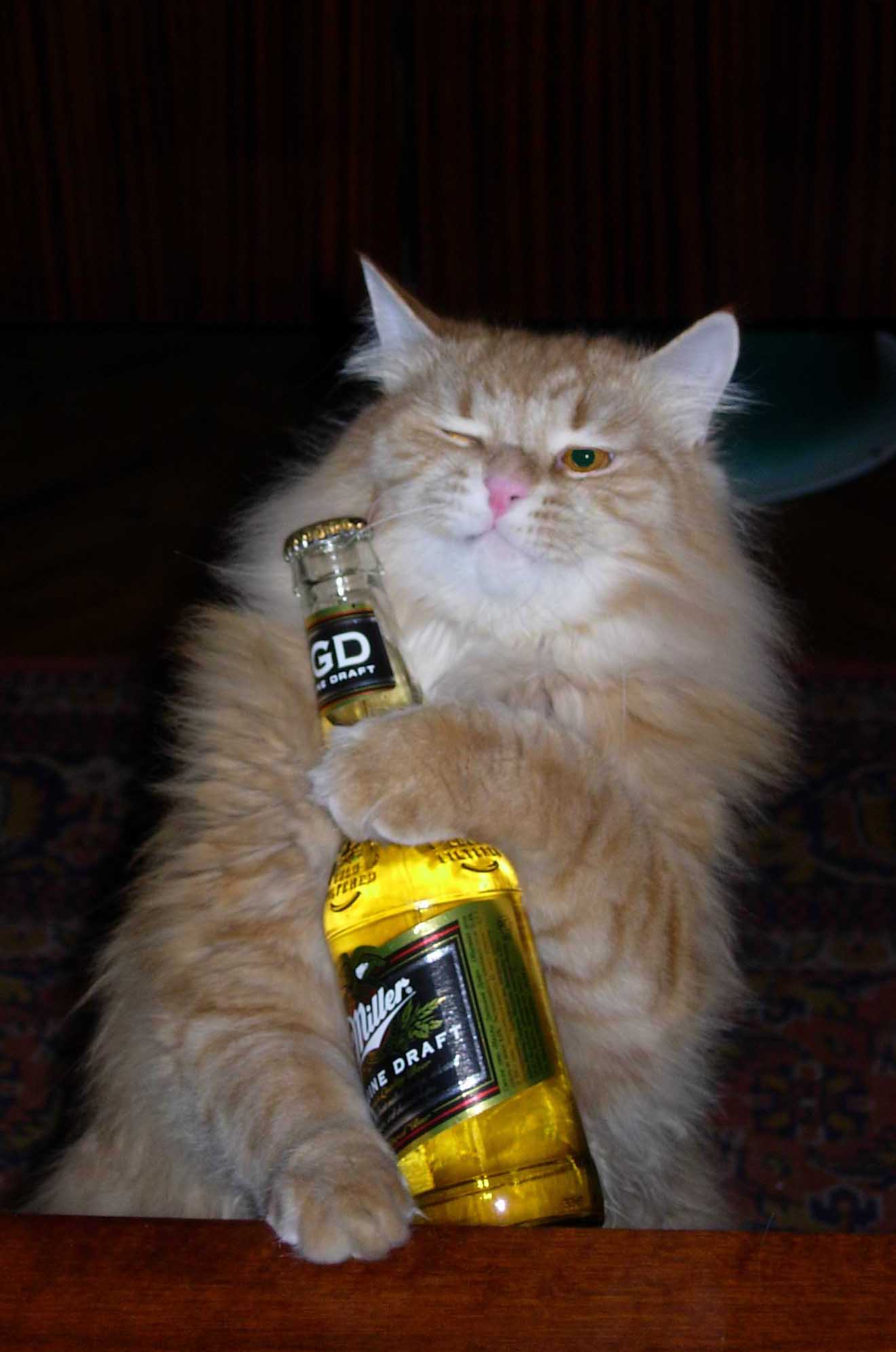 Ну, что хозяин, по второй? 