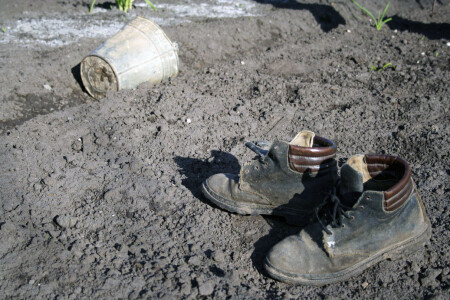 время посадки картофеля