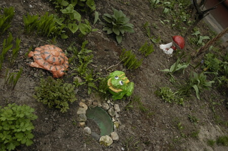 купание в сухом пруду