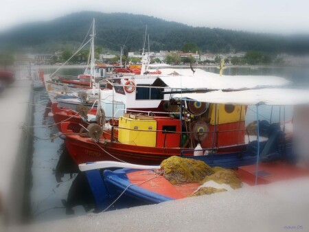 CVETNOI FLOT ,OTDIHAET